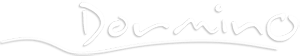 PARKmax - Logo
