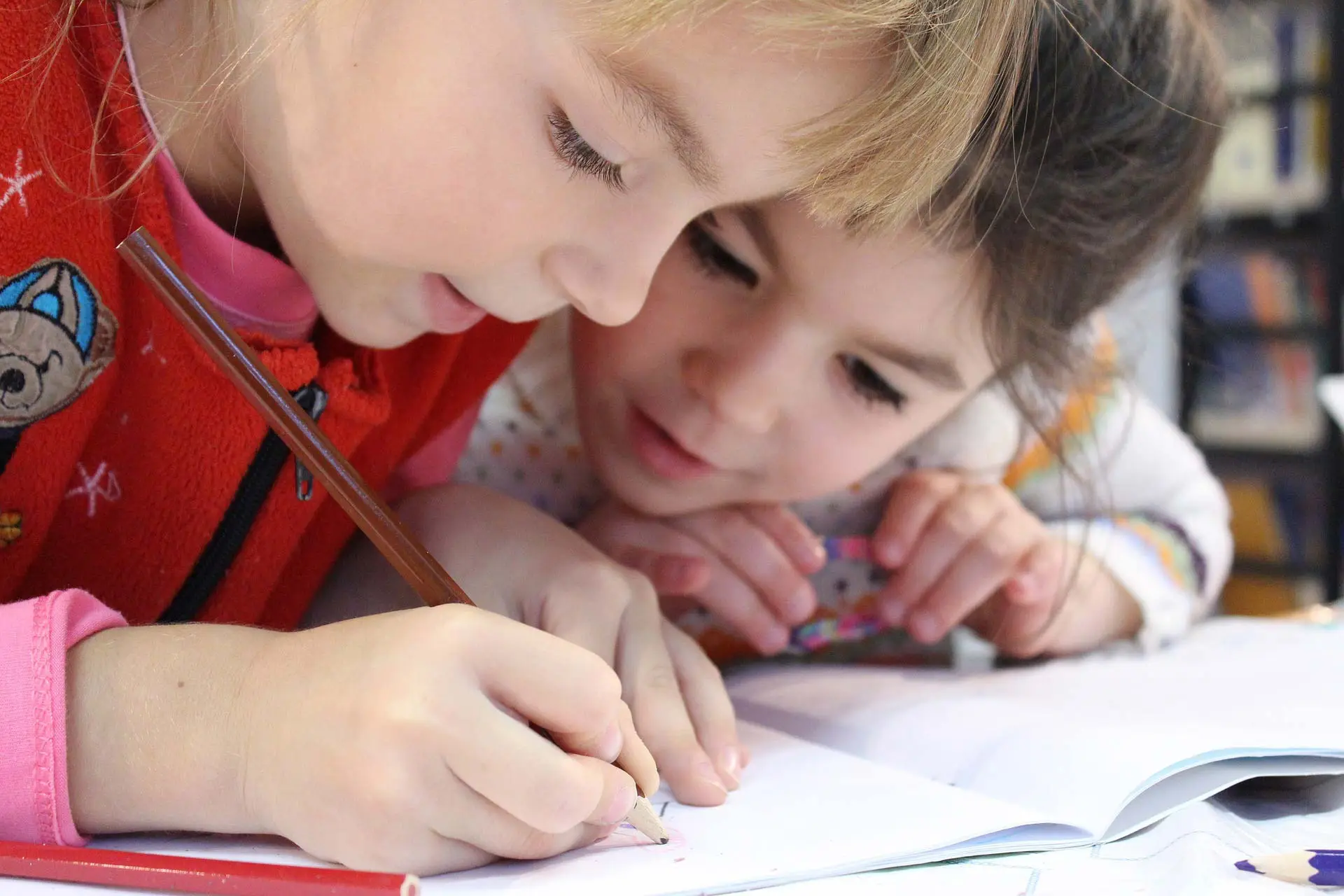 Förderverein Grundschule Bad Schandau - Referenzbild